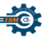 Logo TSM TOOLS